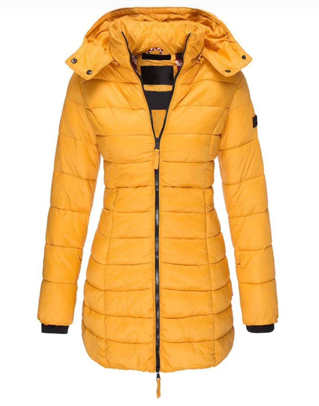 Veste d'Automne À Capuche pour Femmes