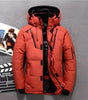 Veste d'Hiver pour Homme - Manteau Chaud, Imperméable et à Capuche
