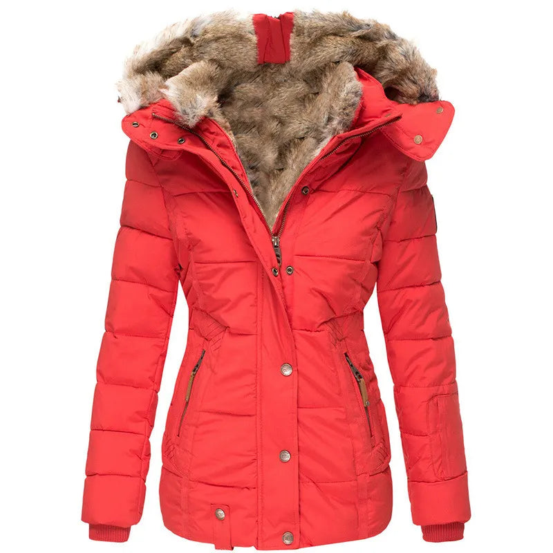 Veste d'Hiver Élégante et Polyvalente pour Femmes