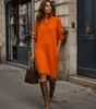 Robe Pull Droite Femme à Manches Longues en Maille avec Col Montant
